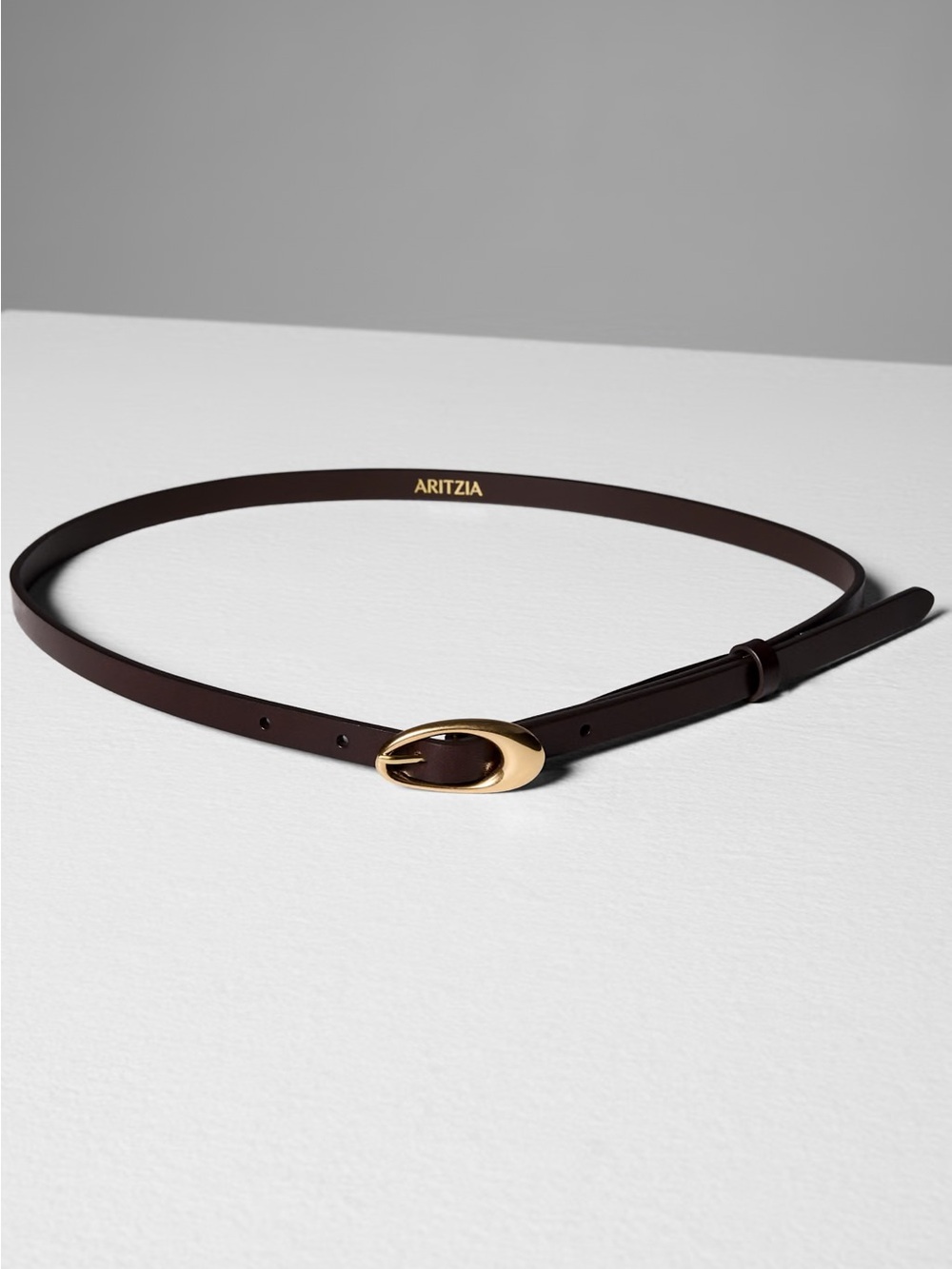 Aritzia Perennial Solid Brass Leather Slim Belt NWT sz S